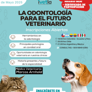 DESCARGAR Masterclass Gratuita: La Odontología para el Futuro Veterinario